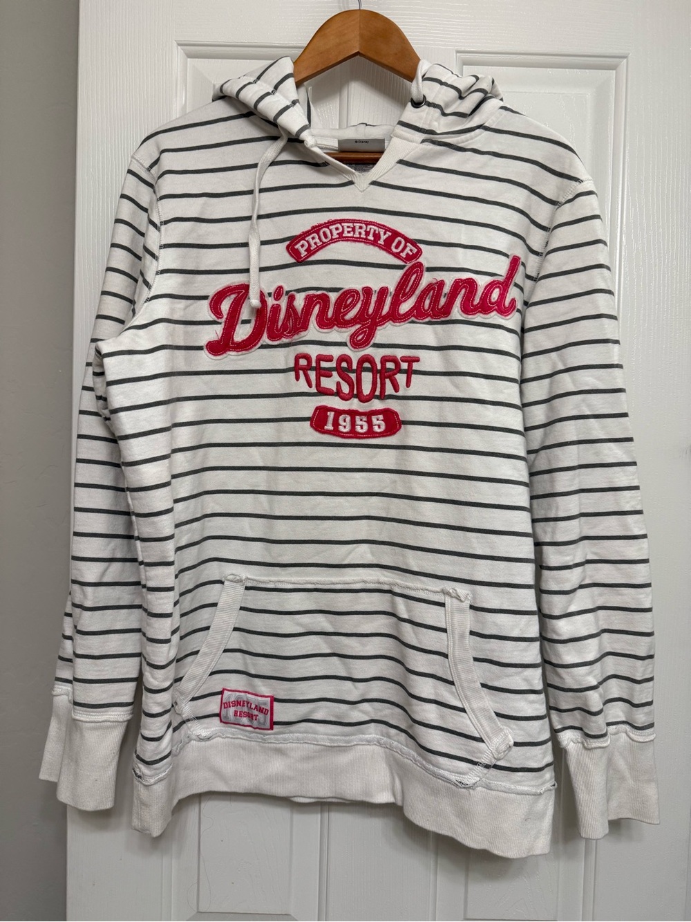 AUTHENTIC DISNEY PARKS DISNEYLAND RESORT STRIPED HOODIE SIZE XXL